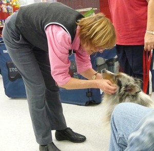 Rose Lesniak Praising a Puppy by BrainChild Branding